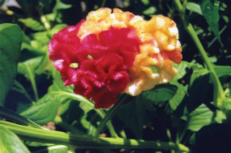 Mail Call: May/June 2012